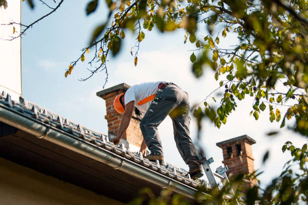 Best Residential Roof Replacement  in Carrollton, OH