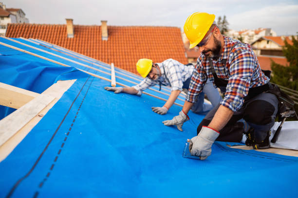 Best Storm Damage Roof Repair  in Carrollton, OH